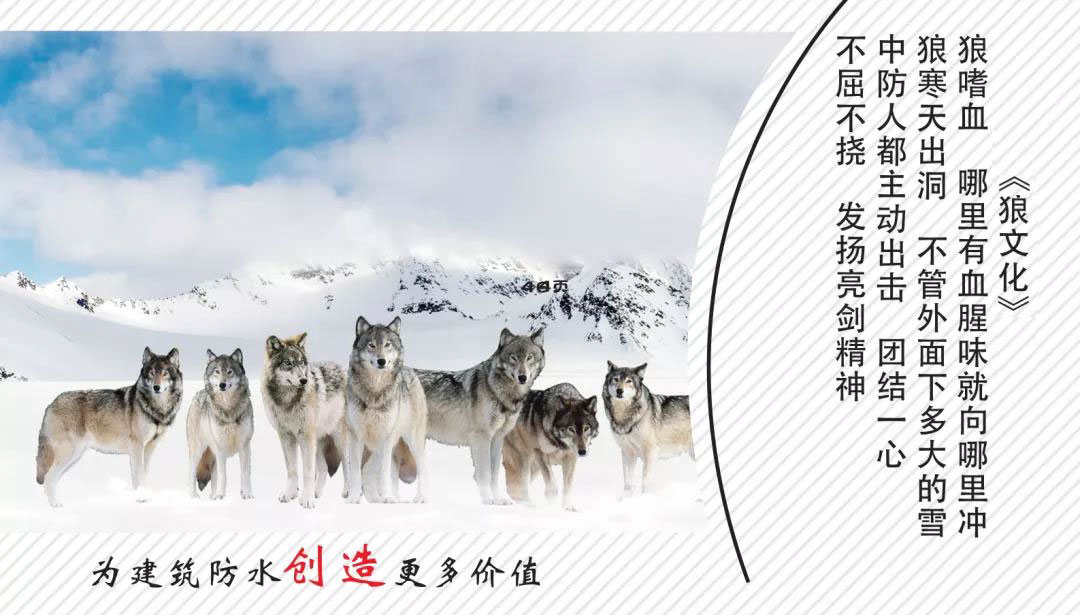 金雨潔防水狼文化 | 團隊的力量